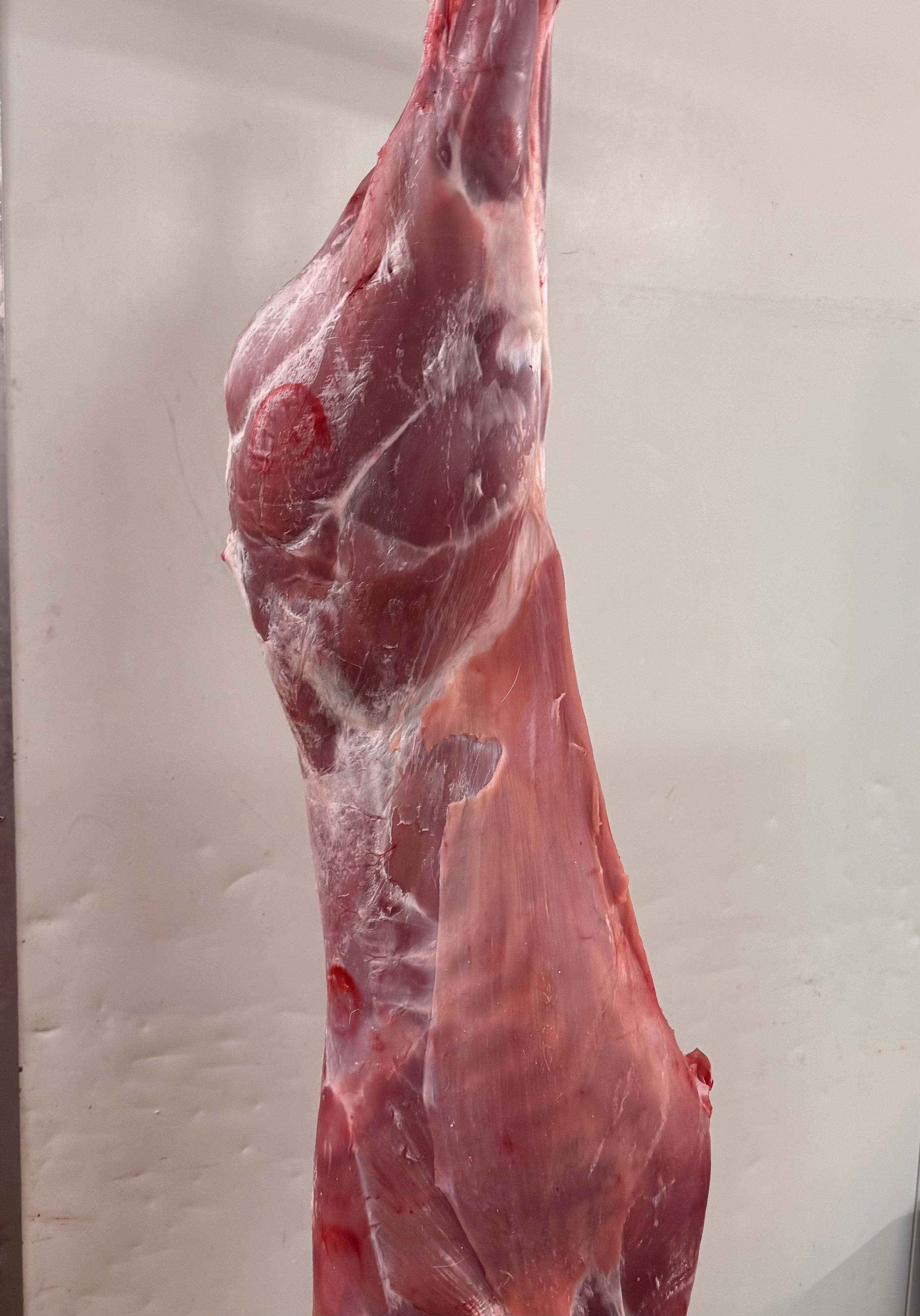 GAME MEAT-VENISON