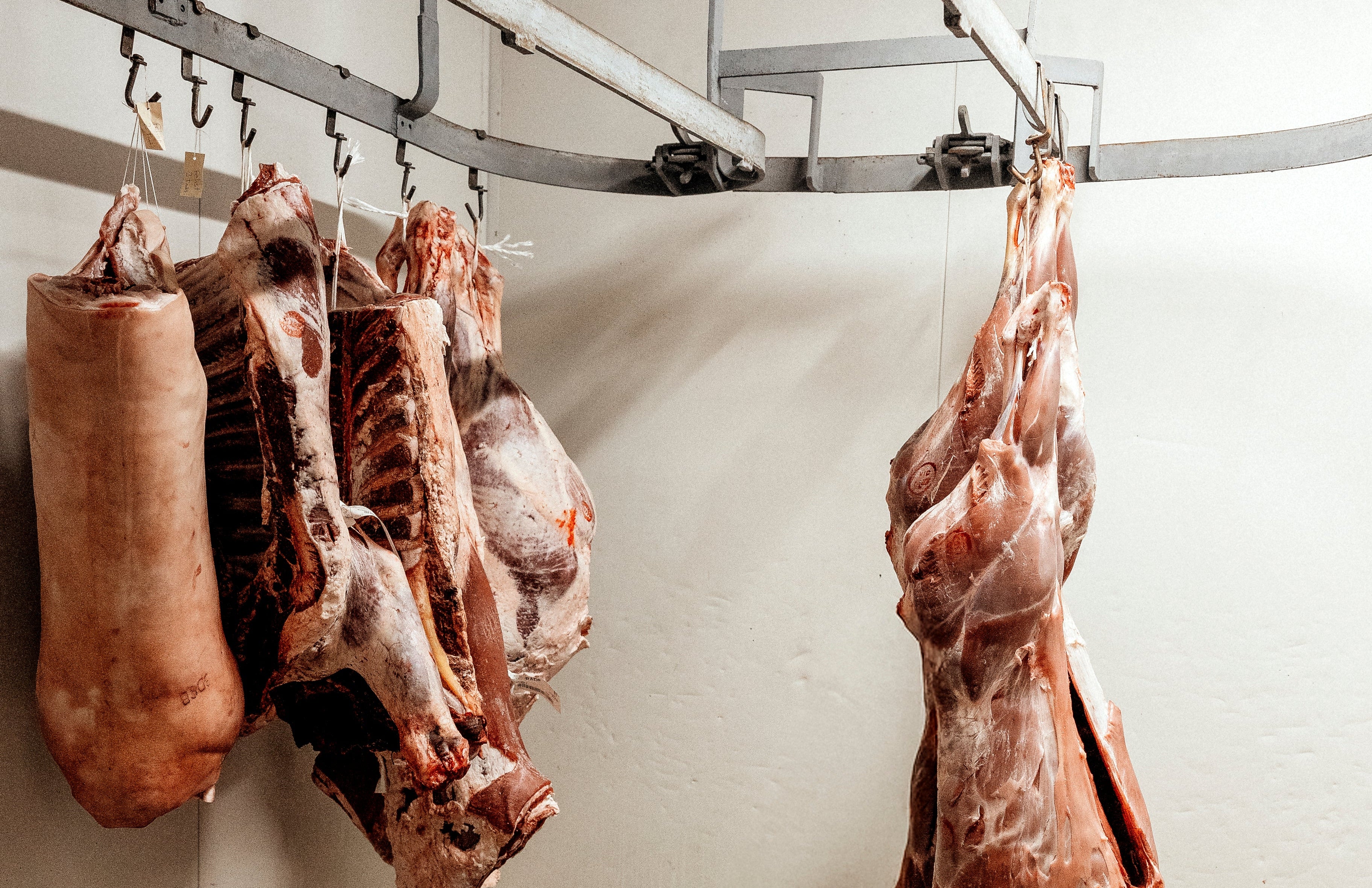 Hanging beef carcasses in a meat processing plant.