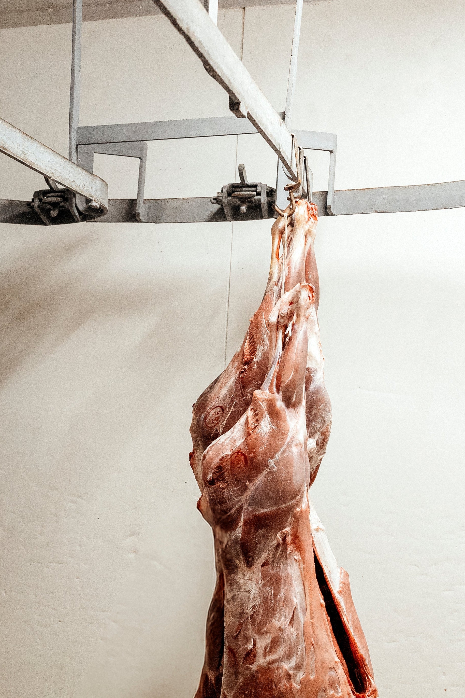 The Game Meat Bundle
