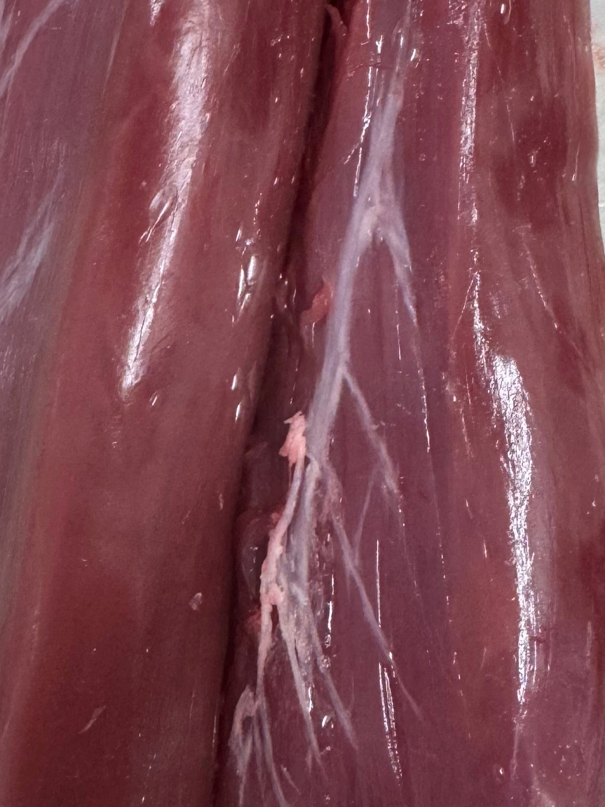 Venison Eye Fillet 500grams