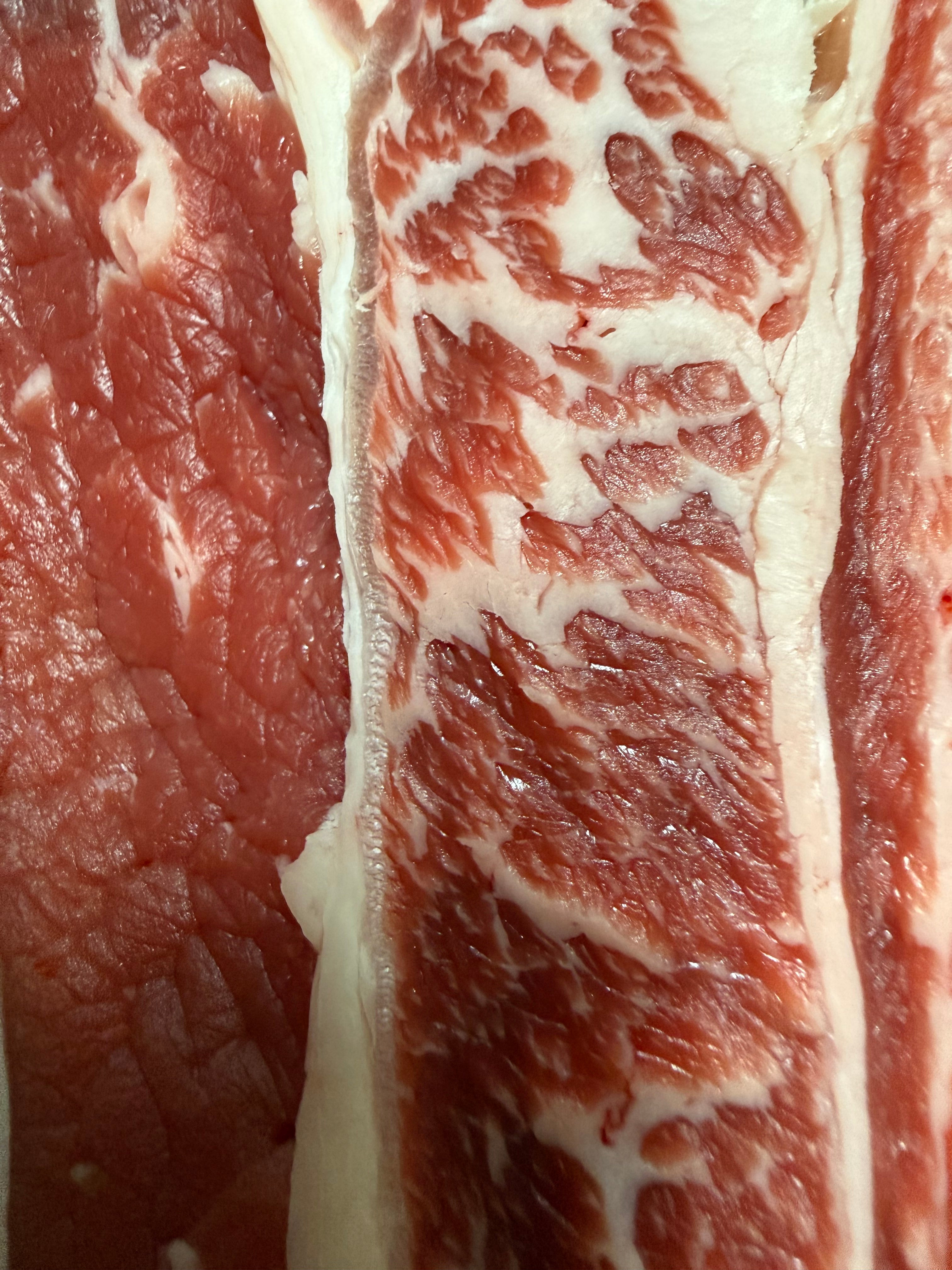 The Carnivore